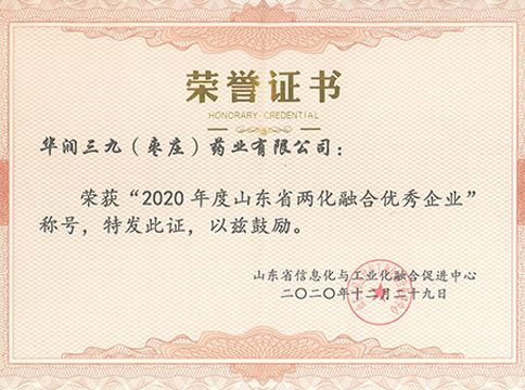 2020年度山东省两化融合优秀企业