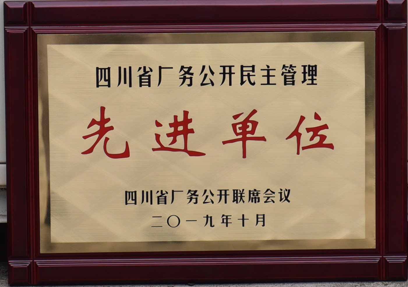 四川省厂务公开民主管理先进单位